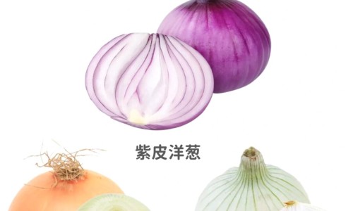蜂蜜 功效网 - 网站提供枸杞蜂蜜功效小常识、蜂蜜功效作用及营养